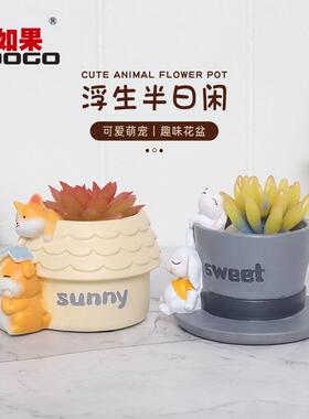 通物兔卡子微景观小花盆多肉花盆创个性意花园R7B3H0动阳台庭院树