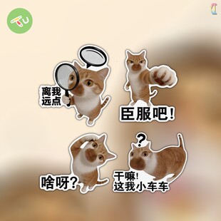 橘猫创意表情文字保持车距汽车摩托油箱反光划痕遮挡提示贴纸