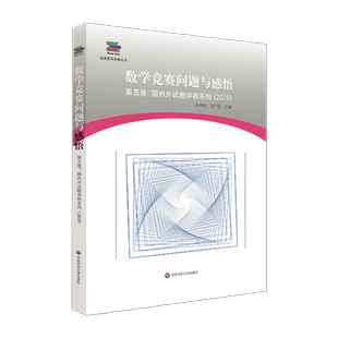 数学竞赛问题与感悟 第五卷：国内外试题评析系列2019 好题与妙解 数学新星网文精选 数学爱好者珍藏 华东师范大学出版社 大夏书系