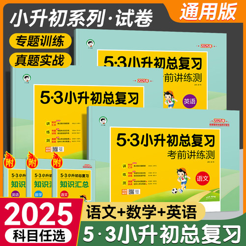53小升初总复习考前讲练测