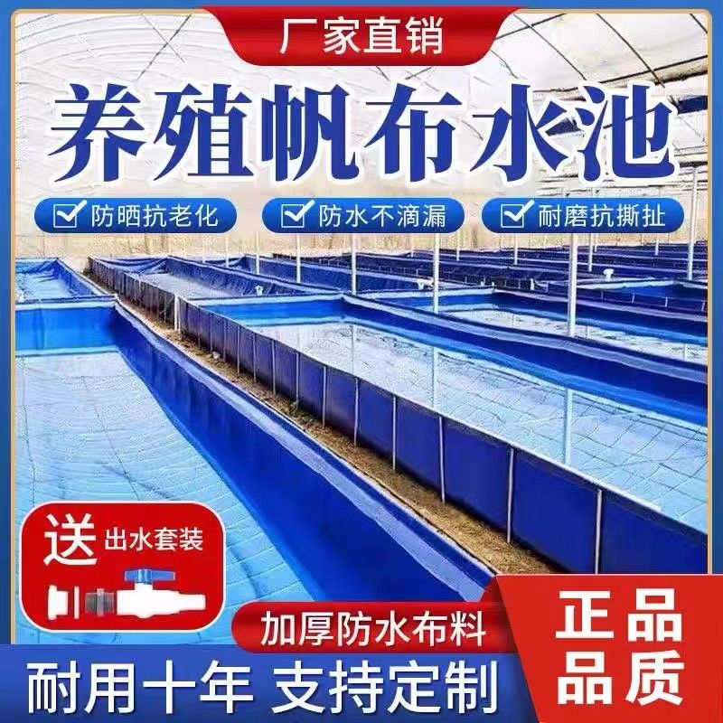 帆布鱼池特厚刀刮布大型蓄水池简易水产蚂蟥池帆布水池帆布养殖池