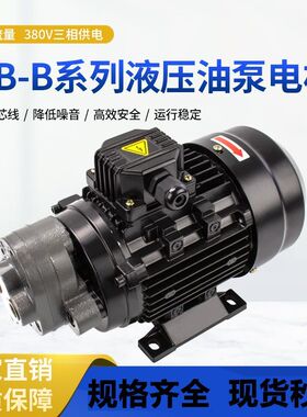 CB-B6/B10/B4/B2.5齿轮泵液压油泵电机组370W/550W润滑油泵头总成