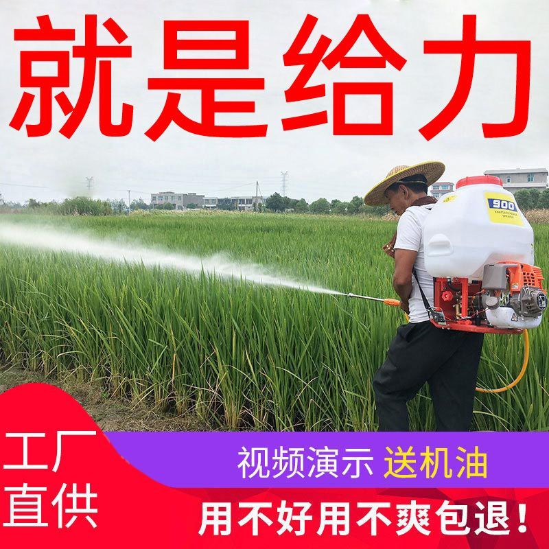汽油高压打农药打药机四冲程泵背负式园林果树喷粉农用消毒喷雾器