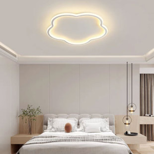 防虫卧室吸顶灯现代简约女孩可爱单色白光暖光语音智能房间造型灯