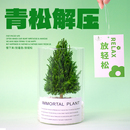 放青松办公室桌面绿植工位解压神器稳定情绪植物装 饰摆件新年礼品