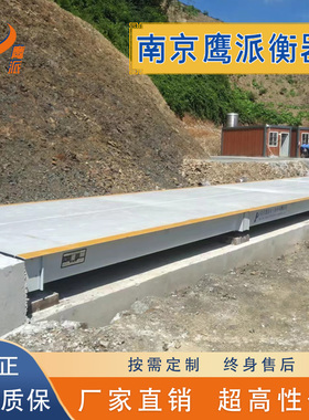 20吨50吨100吨200吨大型地磅定制高精度电子地磅秤江浙沪厂家直销