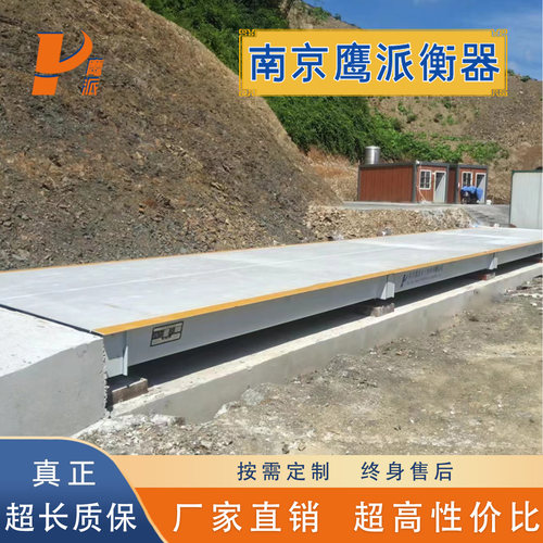南京鹰派20-200吨大型地磅秤