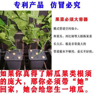 儒风阳台无土栽培花盆水培果菜番茄西瓜瓜果类静水培设备种植桶箱