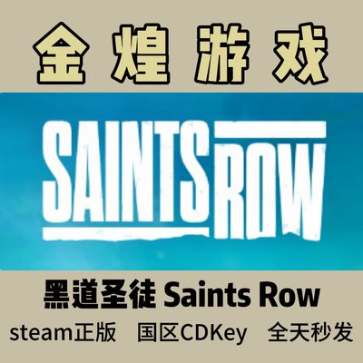 黑道圣徒 重启版 Steam正版CDK Saints Row 国区 激活码 现货秒发