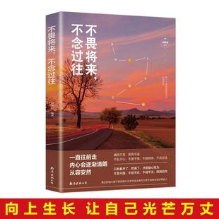 书 青春文学正能量励志小说 不畏将来 治愈系 提升自己书籍 不念过往