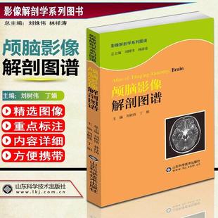 【书】颅脑影像解剖图谱 影像解剖学系列丛书 医学图像鉴别诊断图 西医书籍 影像医学 医学 山东科学技术出版社书籍