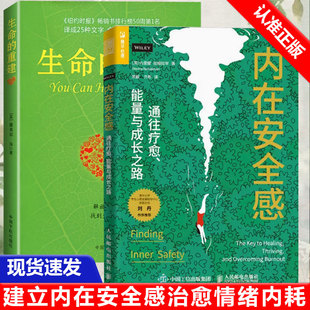 通往疗愈 能量与成长之路 生命 内在模式 全2册内在安全感 重建心灵修养重建生命 终身成长 书
