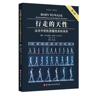天性：运动中 行走 肌筋膜效率和身体：第2版 9787571426934 社3 北京科学技术出版 文