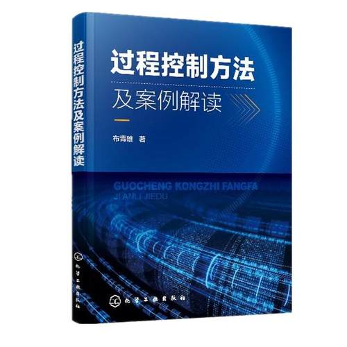 过程控制方法及案例解读 布青雄 著 过程控制方法书籍 过程控制框架 过程控制点控制与评价 过程结果评价 生产*域和工程*域参考