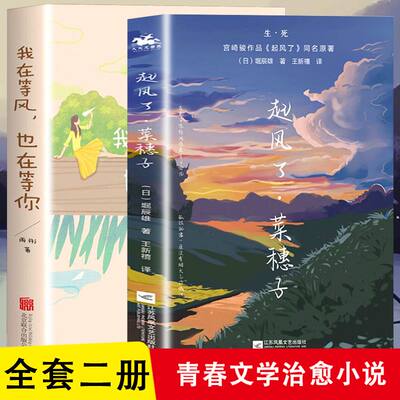 【读】2册起风了·菜穗子+我在等风也在等你21个情感故事 青春过往爱情献给仍然相信爱情的你言情爱情小说男女生系列甜宠青春