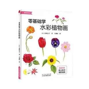 高桥京子 零基础学水彩植物画 初学者自学美术绘画天空海水田野植物花草树木彩色铅笔水彩绘画技法构图调色技巧书籍 书