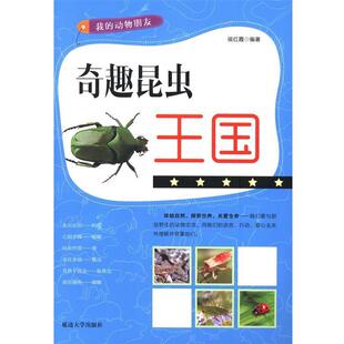 动物朋友 我 奇趣昆虫王国 9787563455430 社4 延边大学出版 文