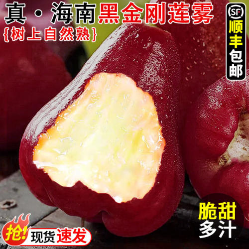 正宗海南黑金刚莲雾新鲜当季现摘速发清甜多汁红宝石孕妇莲雾水果
