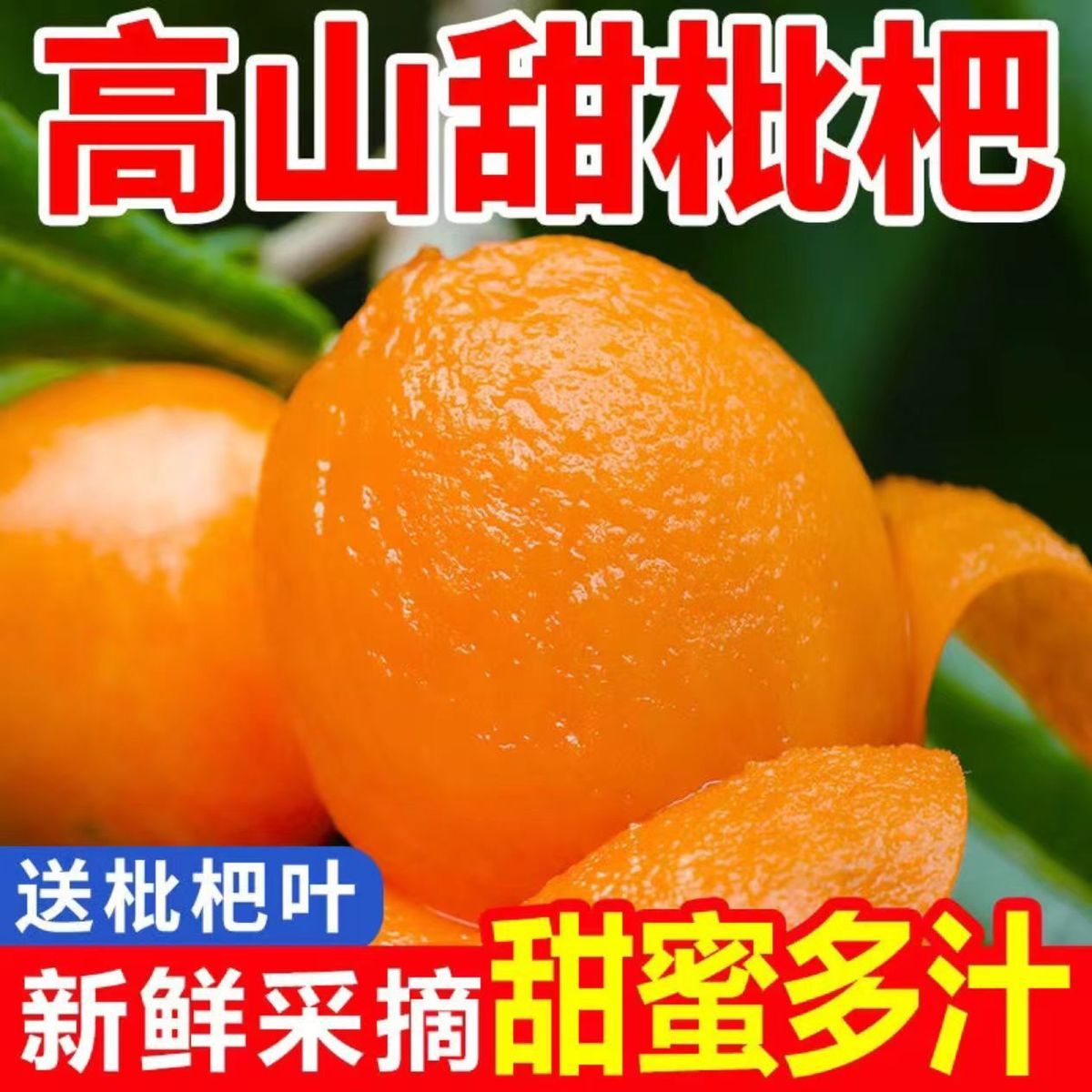 云南蒙自高山甜枇杷现货顺丰