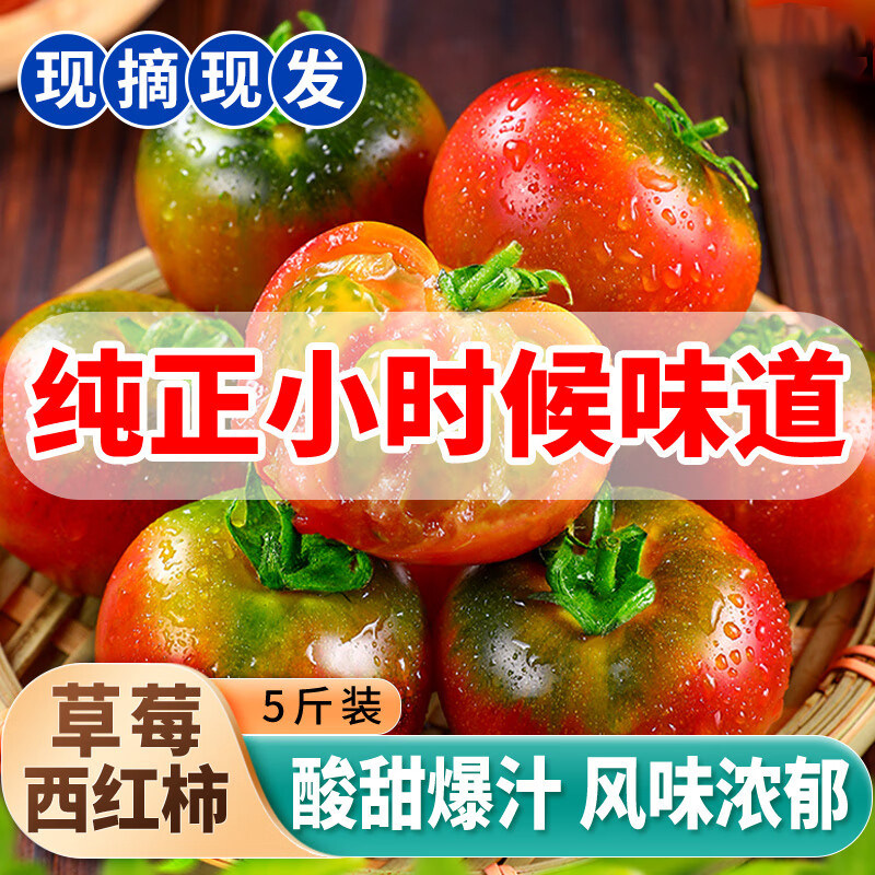 福建新鲜草莓小番茄柿子应季紫宝石巧克力小西红柿酸甜孕妇水果