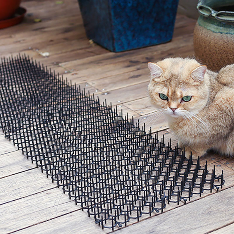 防猫刺钉刺垫地刺驱猫神器防猫爬刺钉驱赶夜猫防猫乱尿设置禁区