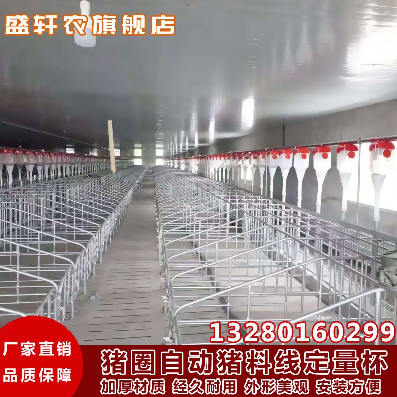 库养猪料线配件猪场育肥全套自动喂料投料机塞盘料线蛟龙料线设厂