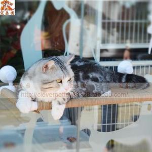 窗台猫吊床宠物猫窝吸盘猫咪吊床号大213001承重猫家具Z窝春夏拆