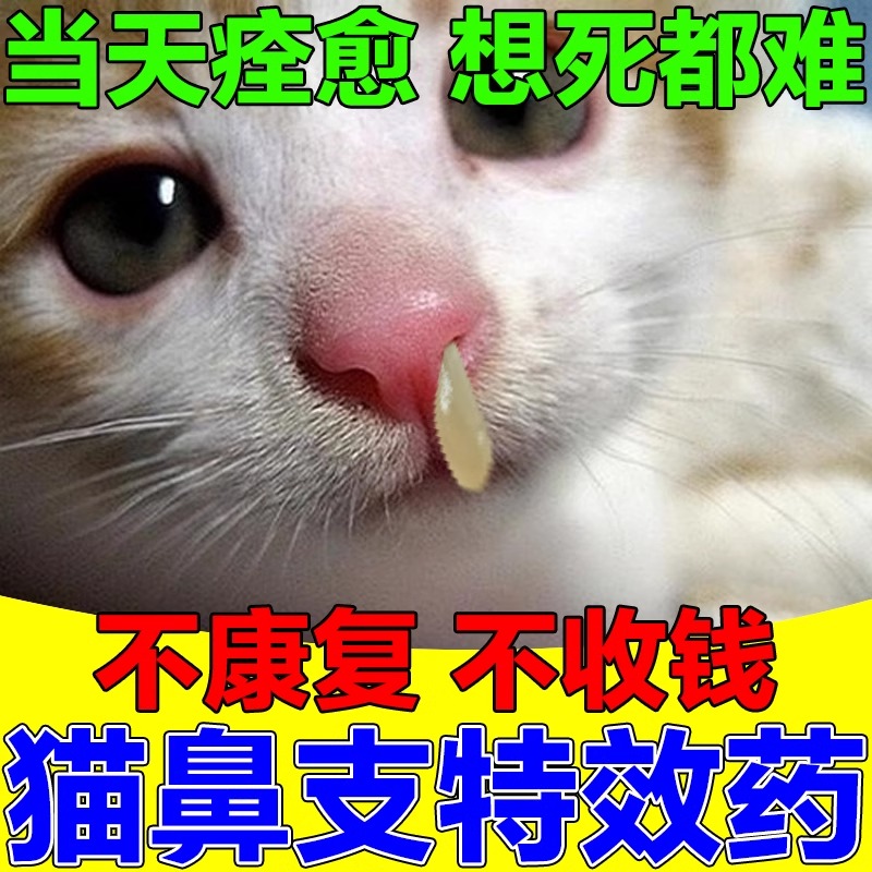 猫鼻支特效药治疗猫咪感冒药打喷嚏流...