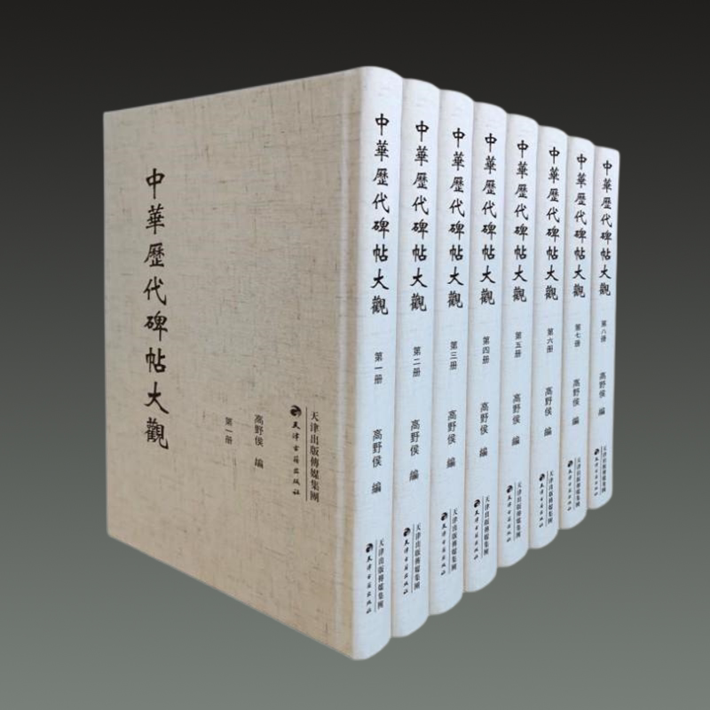 原版 中华历代碑帖大观 精装全八册 中国书法大字典学习与鉴赏 书法练习一本通历代名家收藏真迹艺术书法篆刻书法作品集书法集