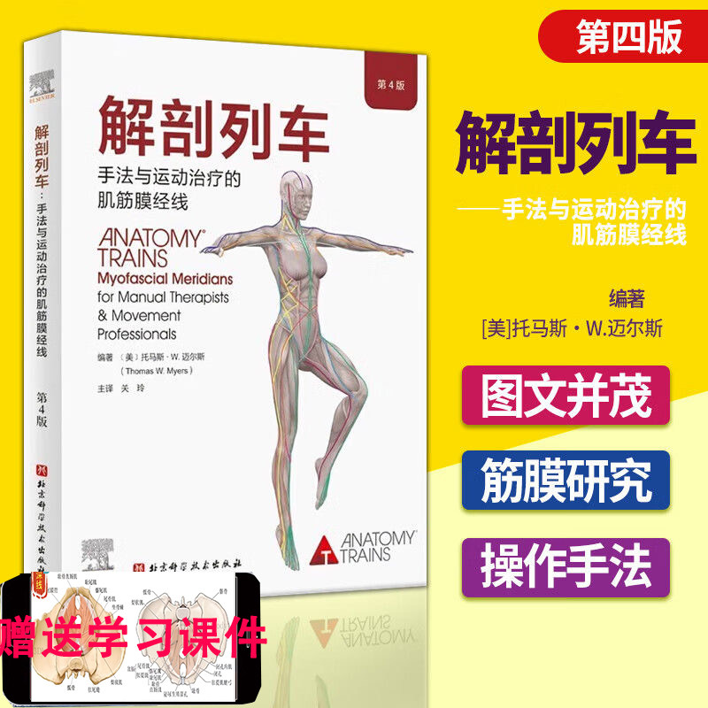 正版书籍 解剖列车 第4版 手法与运动治疗的肌筋膜经线 医学基础教材人体解剖彩色肌肉功能测试全书 奈特身体解读结构分析医学
