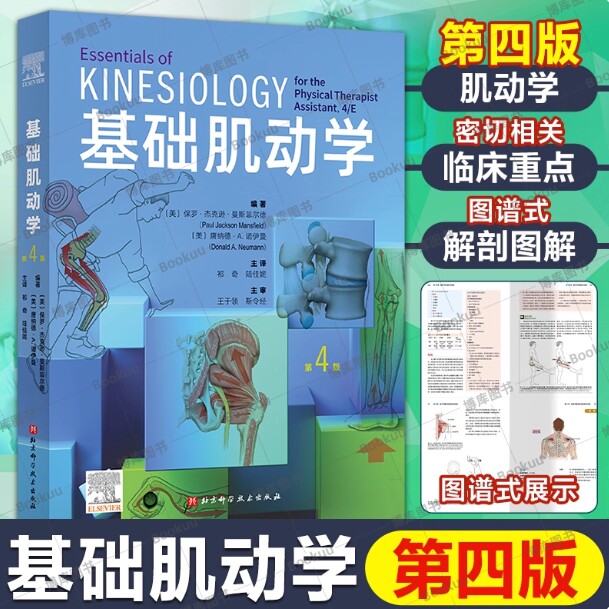 【正版】基础肌动学第四版物理治疗师的肌肉骨骼功能解剖学基础保罗杰克逊曼斯菲尔德肌肉骨骼系统的结构和功能筋膜解剖列车书