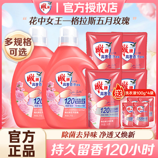 洁净除菌去异味官方正品 雕牌高奢香氛洗衣液持久留香家用实惠装