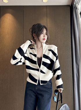 Sorrytin这调性妥妥100分 立领撞色垫肩斑马纹山羊绒毛衣针织开衫