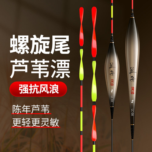 加粗醒目芦苇浮漂呈舟芦苇螺旋尾