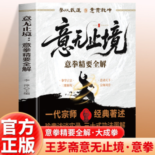 2册 意无止境+道家真气意拳精要全解书正版意无止境王芗斋站桩功拳学教程成拳站桩健身功法养生形意拳内家拳 中医健身书籍拳道中枢