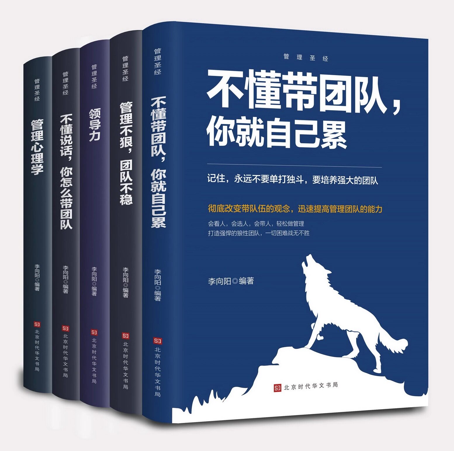 企业管理成功法则怎么带团队图片