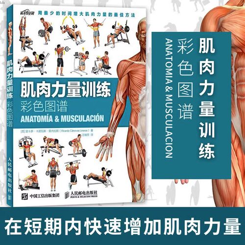 【正版速发】肌肉力量训练彩色图