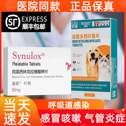 多西环素消炎片猫狗猫鼻支阿莫西林克拉维酸钾消炎药感冒红肿