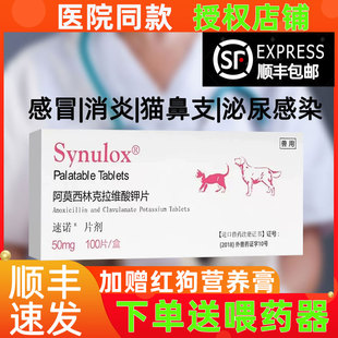 速诺消炎片猫狗猫咪鼻支阿莫西林克拉维酸钾消炎药泌尿道感冒炎症