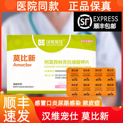 【顺丰加急】莫比新猫咪感冒消炎
