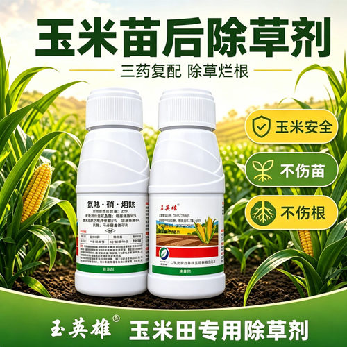 玉米苗后除草剂专用除草剂护苗型烟嘧磺隆硝磺草酮氯氟吡氧乙酸药