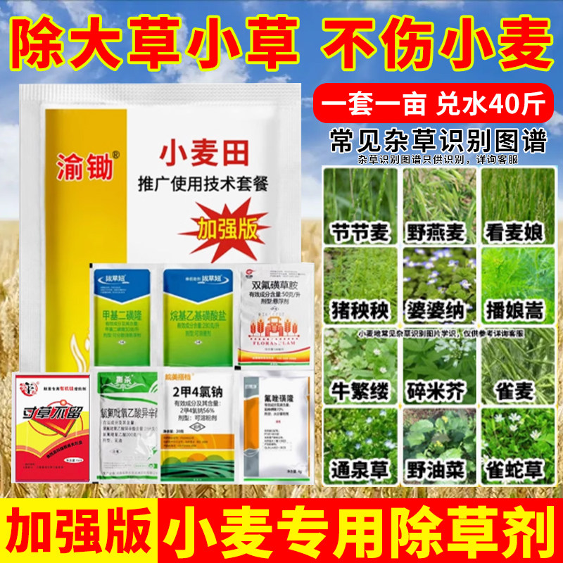 （加强版）小麦除草剂除草烂根剂