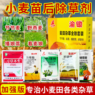 小麦苗后除草剂麦冬除草剂节节麦野燕麦除草专用剂小麦除草套装药