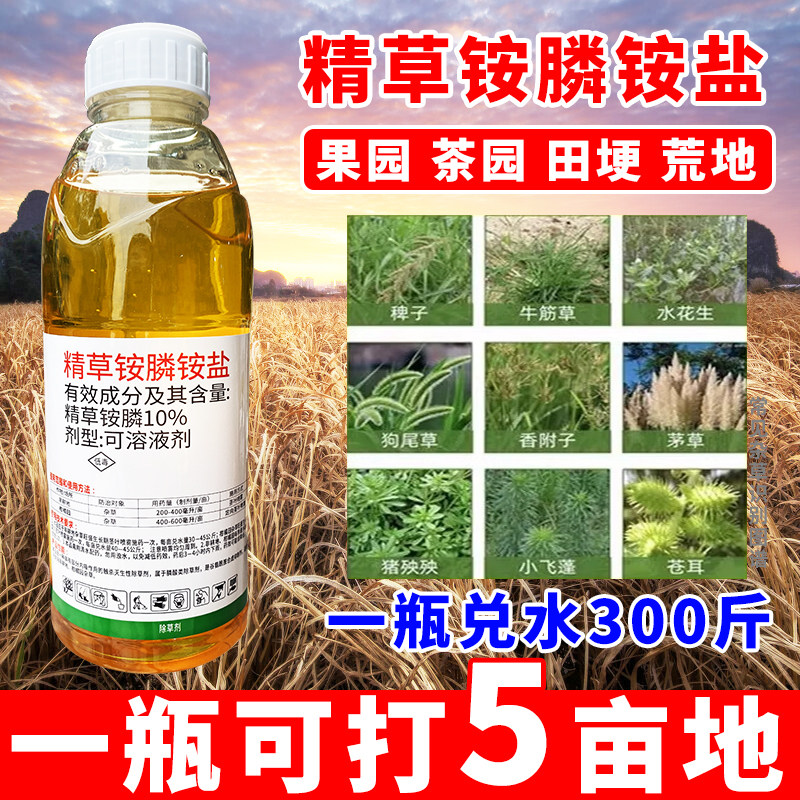精草铵磷铵盐专用除草烂根剂精草胺磷铵盐草铵磷除草剂农药牛筋草