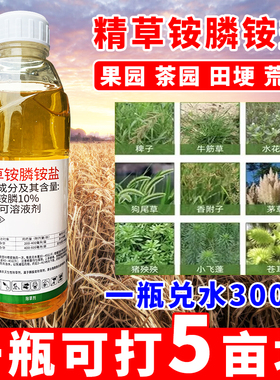 精草铵磷铵盐专用除草烂根剂精草胺磷铵盐草铵磷除草剂农药牛筋草