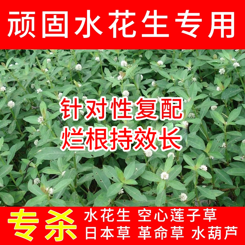 （官方推荐）水花生专用除草剂图片