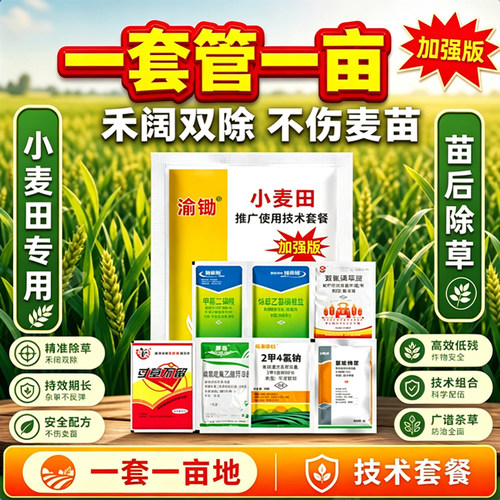小麦除草剂加强版苗后除草剂节节麦野燕麦冬麦除草专用除草套装药
