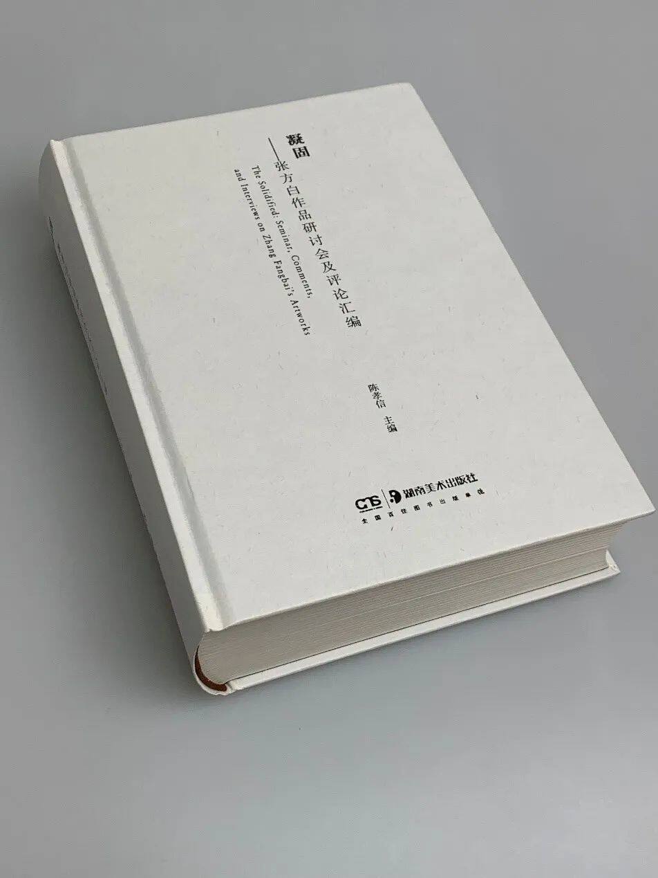 正版新书 凝固—张方白作品研讨会及评论汇编 陈孝信主编 中国艺术批评家独立策展人作品集书籍(中文约26万字,英文约14万字)