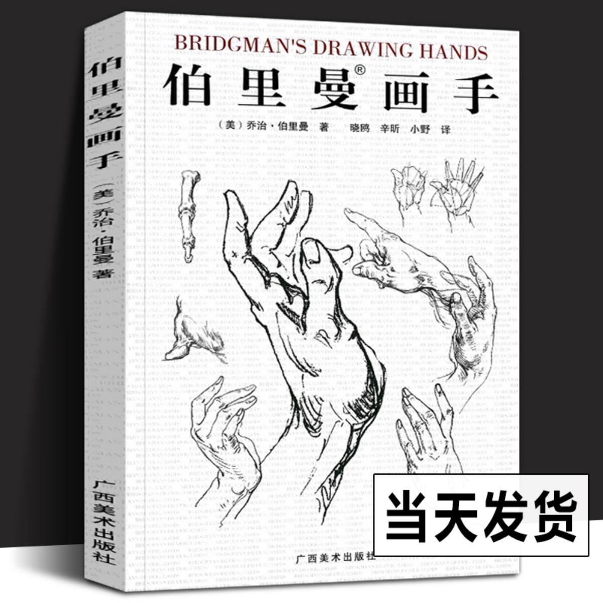 伯里曼画手 人物素描大师速写临摹基础成人初学者入门技法教程/动漫画