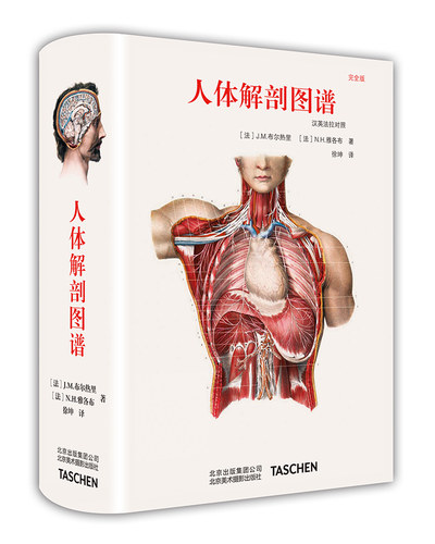 人体解剖图谱 中英对照版Taschen原版引进Altas of Human Anatomy 真人比例人体手绘手稿艺术画册700余幅彩色图谱832页画册